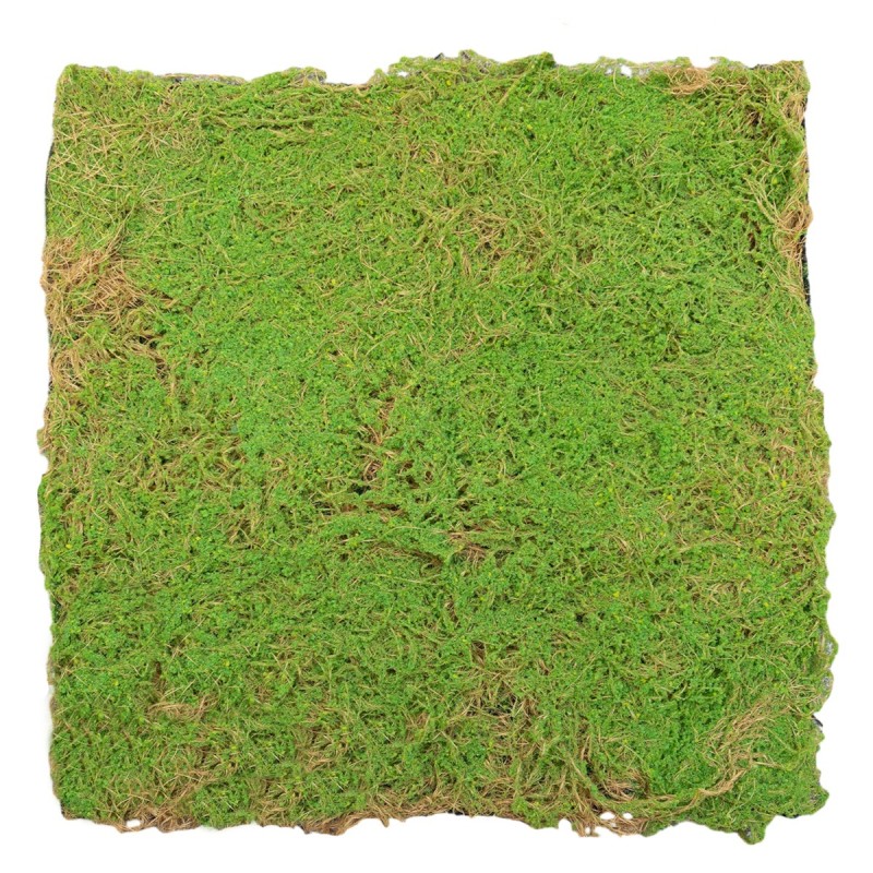 Covor muschi artificial de padure, Naimeed D6541, pentru decorare interioara sau exterioara, Verde, 1000x1000x20mm