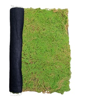 Covor muschi artificial de padure, Naimeed D6541, pentru decorare interioara sau exterioara, Verde, 1000x1000x20mm