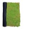 Covor muschi artificial de padure, Naimeed D6541, pentru decorare interioara sau exterioara, Verde, 1000x1000x20mm
