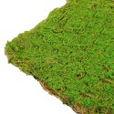 Covor muschi artificial de padure, Naimeed D6541, pentru decorare interioara sau exterioara, Verde, 1000x1000x20mm