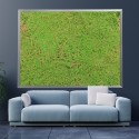 Covor muschi artificial de padure, Naimeed D6541, pentru decorare interioara sau exterioara, Verde, 1000x1000x20mm