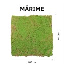 Covor muschi artificial de padure, Naimeed D6541, pentru decorare interioara sau exterioara, Verde, 1000x1000x20mm