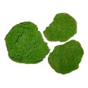 Set 3 muschi artificial de padure, Naimeed D6548, pentru decorare interioara sau exterioara, Verde, 50x3.5cm; 40x3.5cm; 30x3.5cm