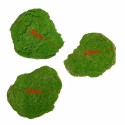 Set 3 muschi artificial de padure, Naimeed D6548, pentru decorare interioara sau exterioara, Verde, 50x3.5cm; 40x3.5cm; 30x3.5cm