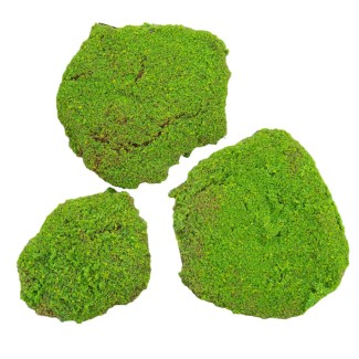 Set 3 muschi artificial de padure, Naimeed D6549, pentru decorare interioara sau exterioara, Verde, 50x3.5cm; 40x3.5cm; 30x3.5cm