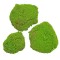 Set 3 muschi artificial de padure, Naimeed D6549, pentru decorare interioara sau exterioara, Verde, 50x3.5cm; 40x3.5cm; 30x3.5cm