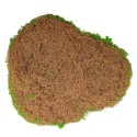 Set 3 muschi artificial de padure, Naimeed D6549, pentru decorare interioara sau exterioara, Verde, 50x3.5cm; 40x3.5cm; 30x3.5cm
