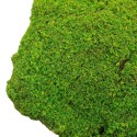 Set 3 muschi artificial de padure, Naimeed D6549, pentru decorare interioara sau exterioara, Verde, 50x3.5cm; 40x3.5cm; 30x3.5cm