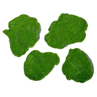 Set 4 muschi artificial de padure, Naimeed D6550, pentru decorare interioara sau exterioara, Verde, 25x2cm Set 4 muschi artificial de padure, Naimeed D6550, pentru decorare interioara sau exterioara, Verde, 25x2cm