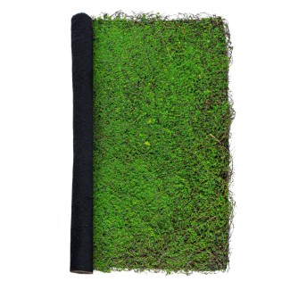 Covor muschi artificial de padure, Naimeed D6551, pentru decorare interioara sau exterioara, Verde, 1000x1000x30mm Covor muschi artificial de padure, Naimeed D6551, pentru decorare interioara sau exterioara, Verde, 1000x1000x30mm