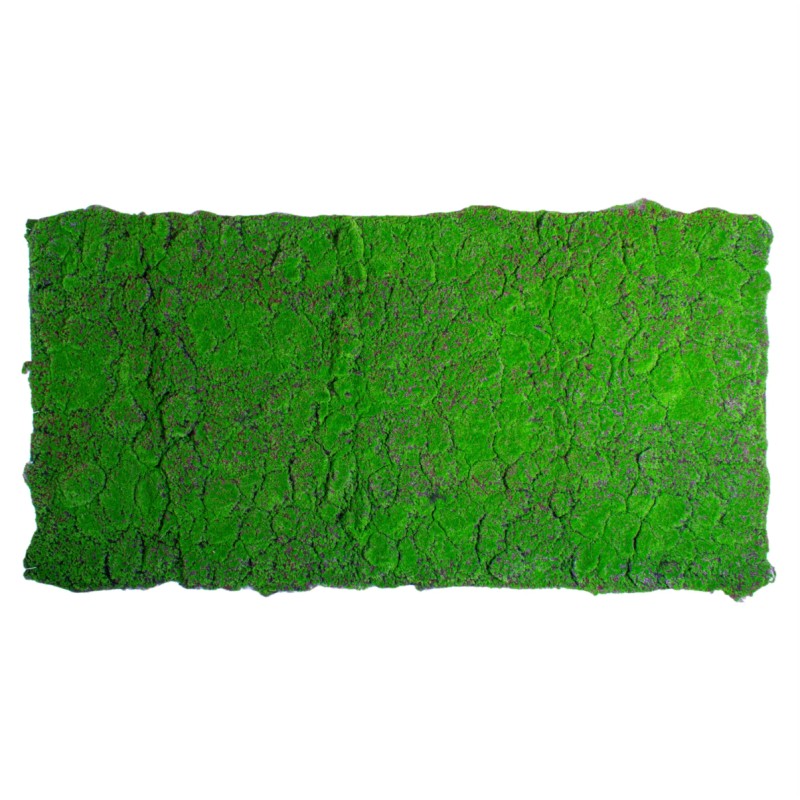 Covor muschi artificial de padure, Naimeed D6556, pentru decorare interioara sau exterioara, Verde, 1000x2000x30mm