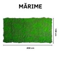 Covor muschi artificial de padure, Naimeed D6556, pentru decorare interioara sau exterioara, Verde, 1000x2000x30mm