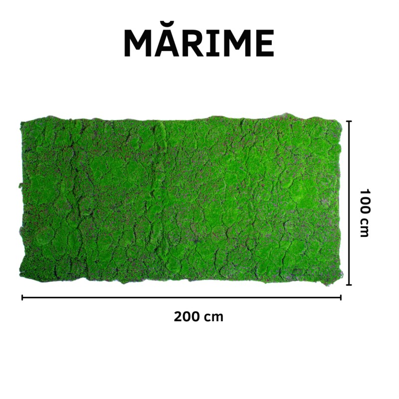 Covor muschi artificial de padure, Naimeed D6556, pentru decorare interioara sau exterioara, Verde, 1000x2000x30mm