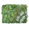 Panou verde din plante artificiale, Naimeed D4978