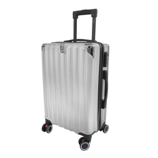 Troler voiaj, Naimeed D5389M, 4 roti duble 360 grade, ABS, inchidere cifru, Argintiu, 42x27x68cm
